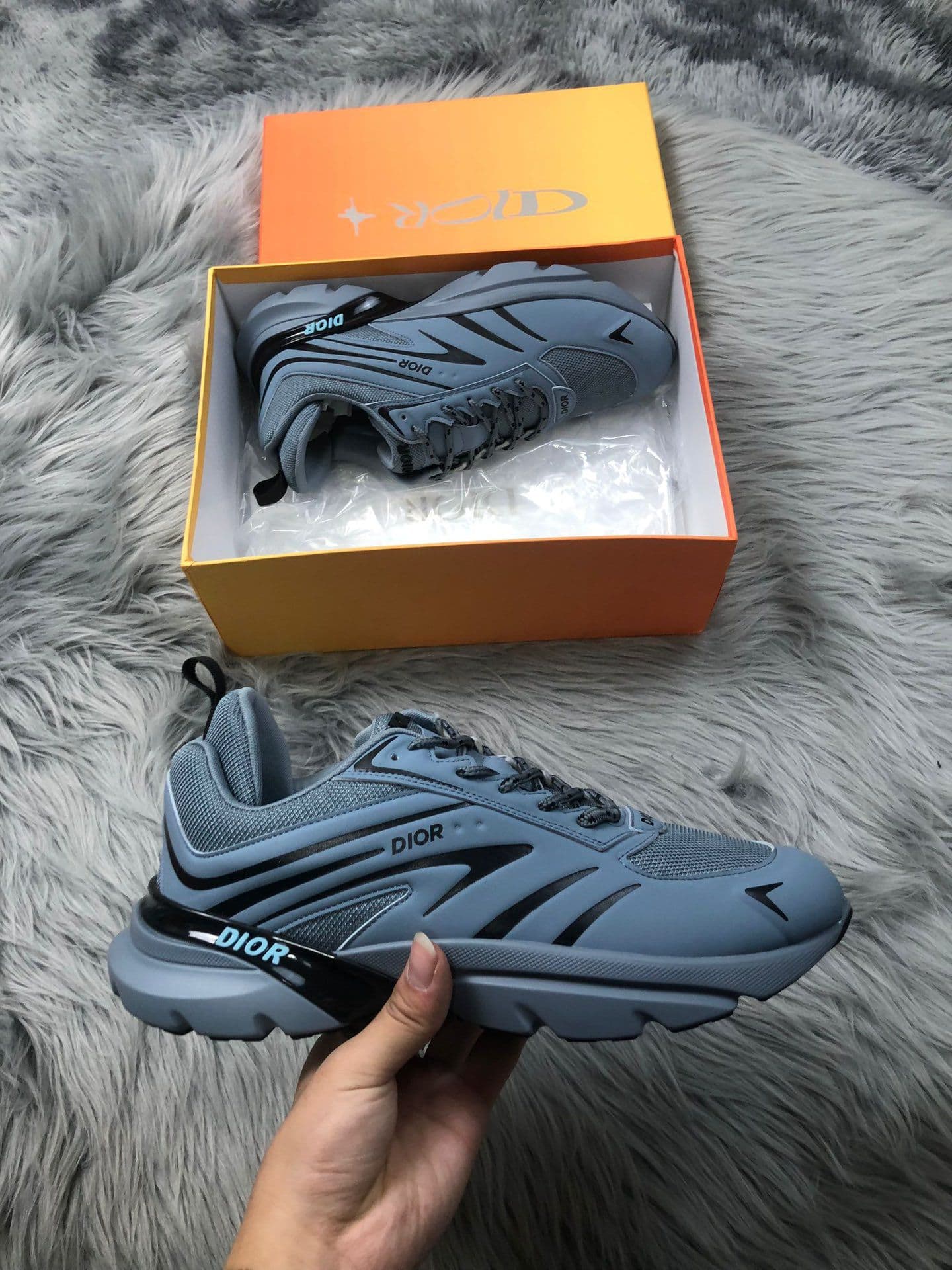 Dior Sneaker 2