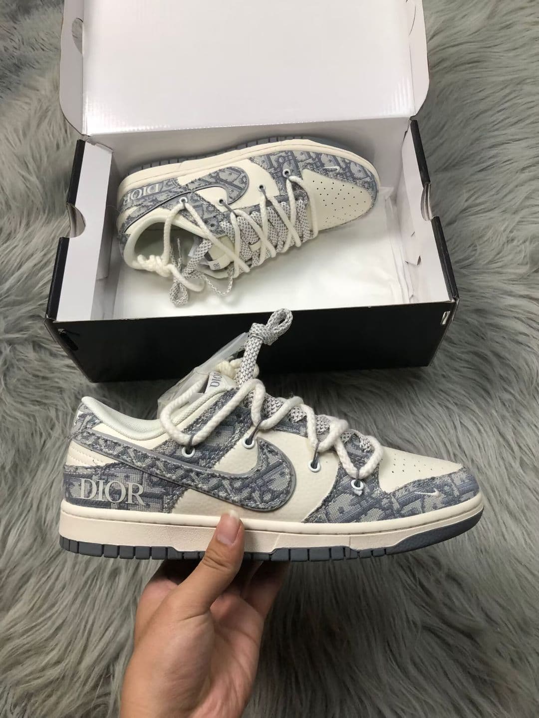 Nike x Dior Dunk Low 1